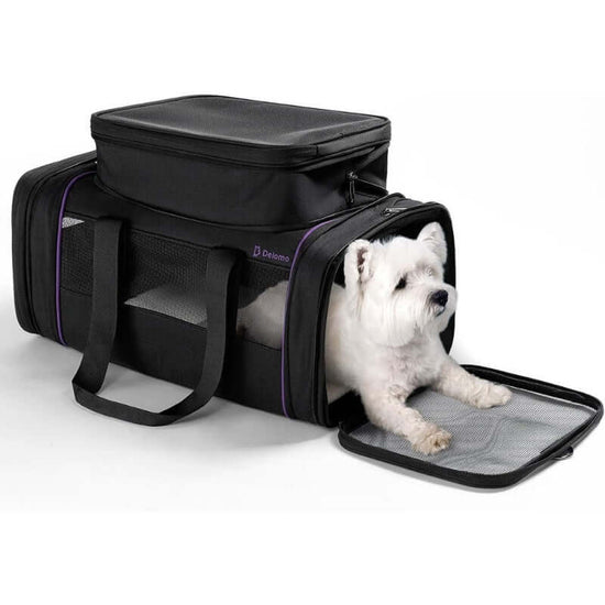 Portable Pet Travel Carrier