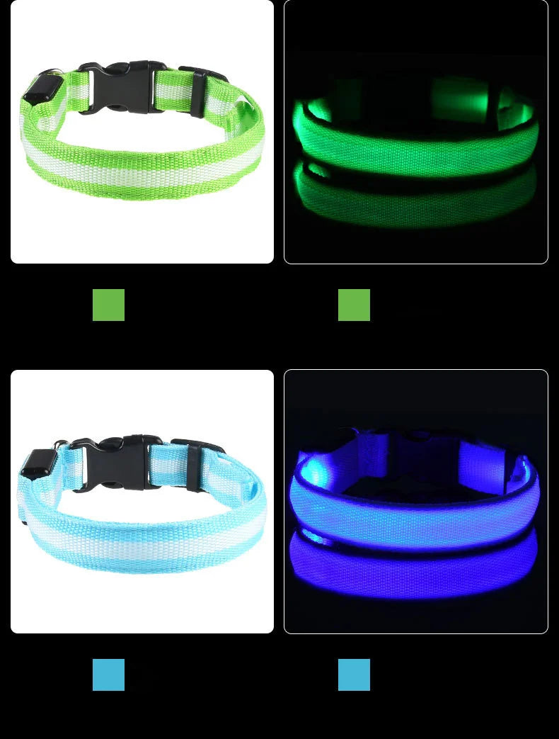LED Safe Collar