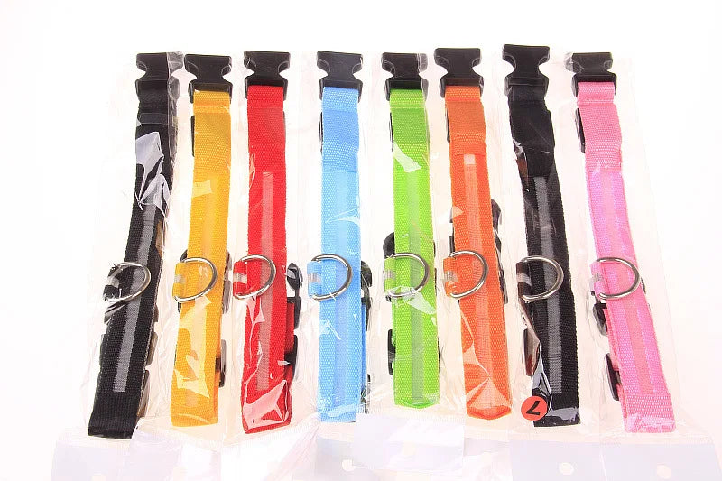 LED Safe Collar