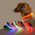 LED Safe Collar