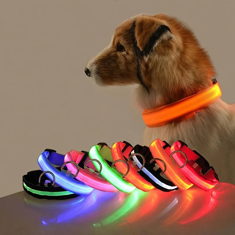 LED Safe Collar