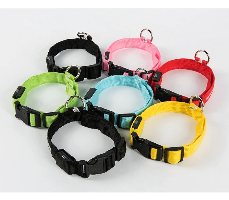 LED Safe Collar