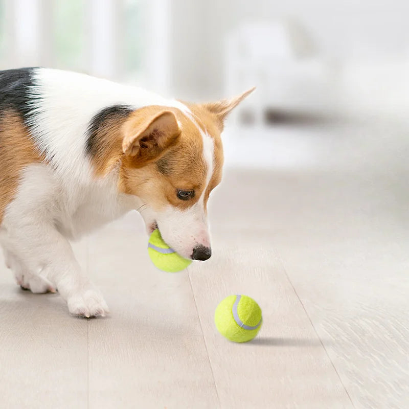 TennisPaw Chew Ball