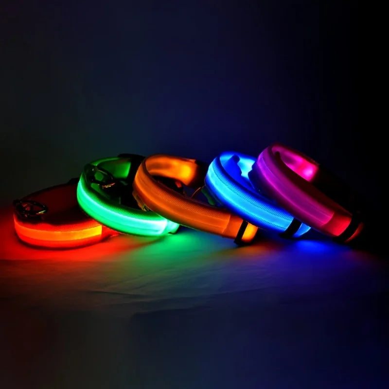 LED Safe Collar