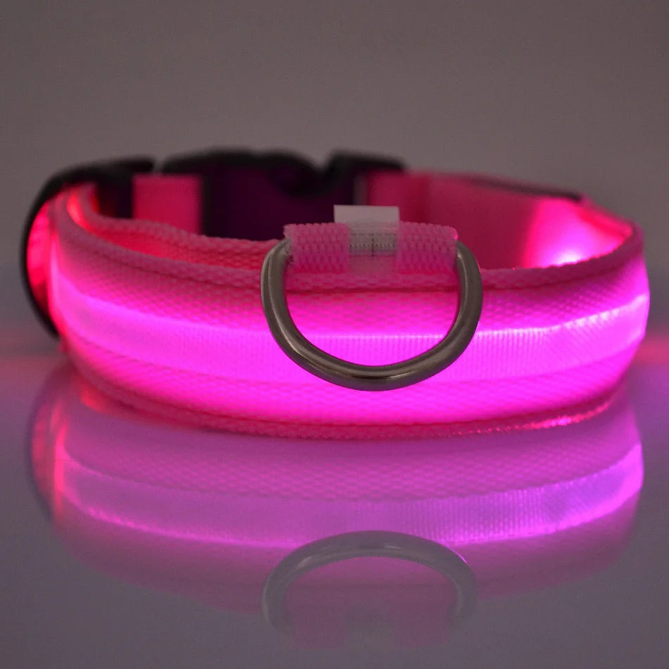 LED Safe Collar