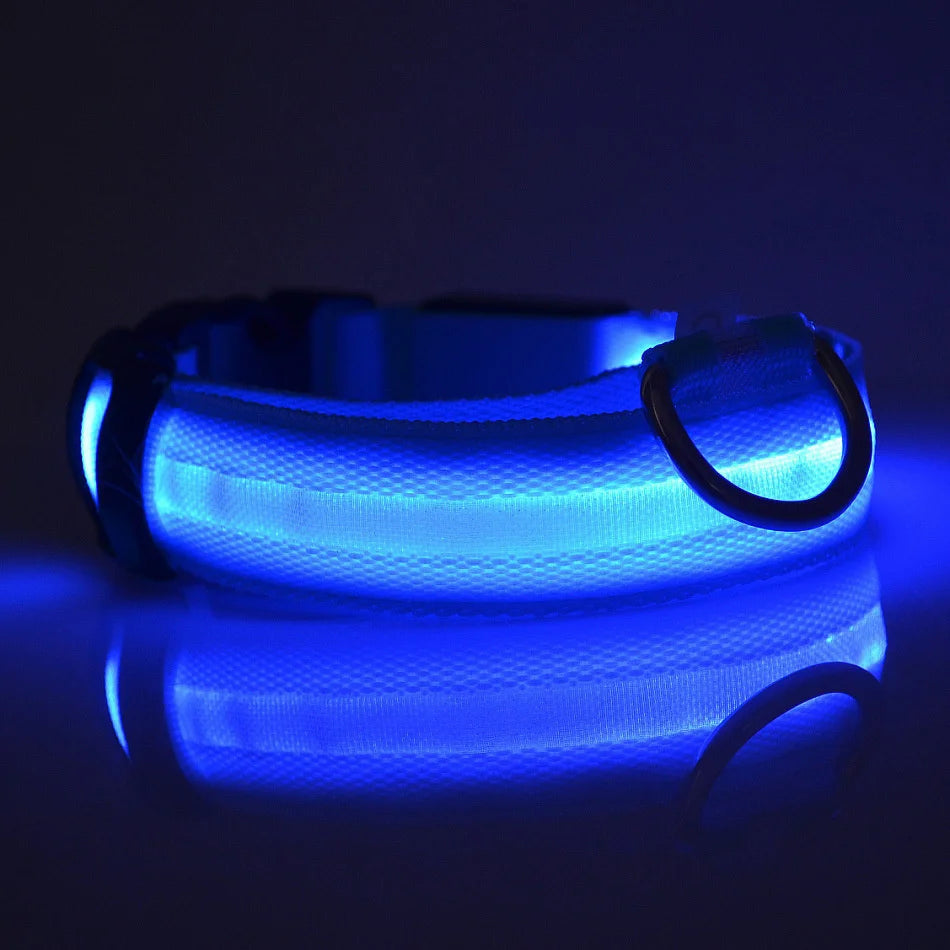 LED Safe Collar