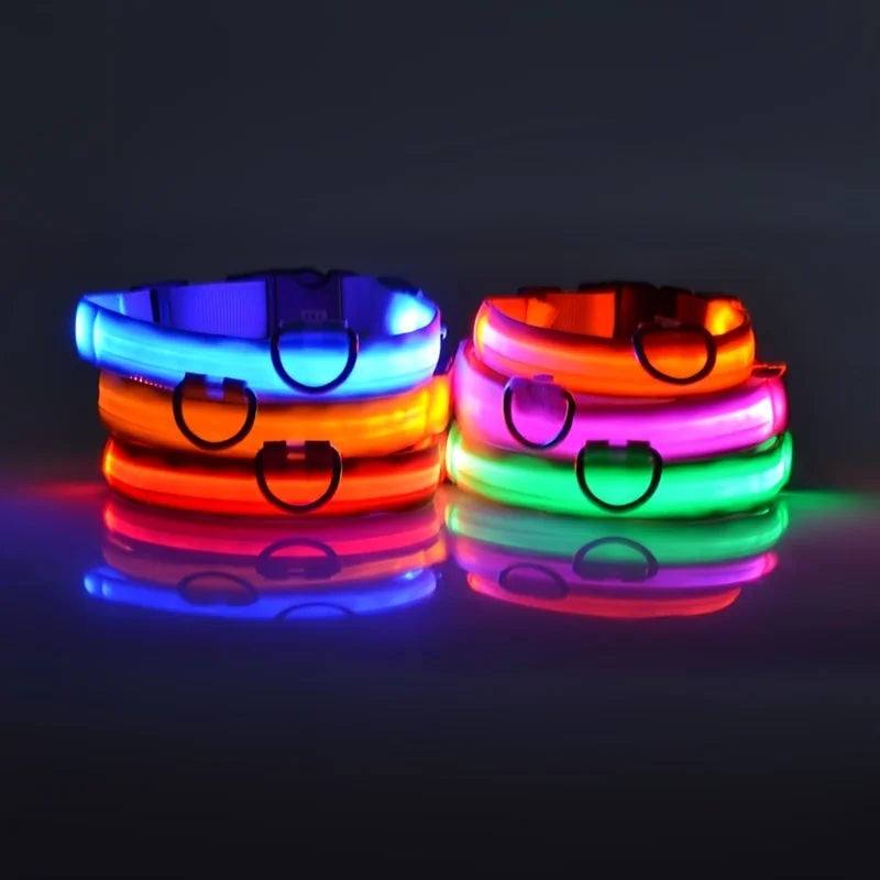 LED Safe Collar