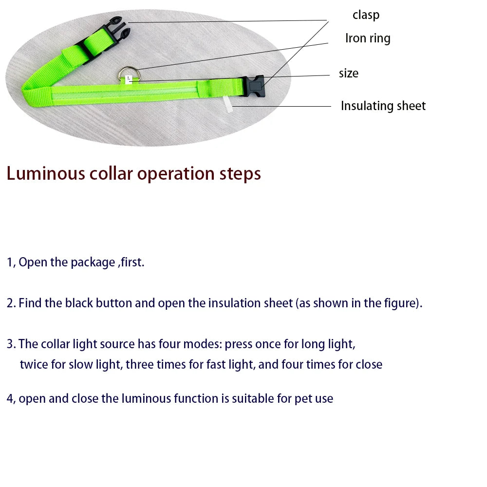 LED Safe Collar