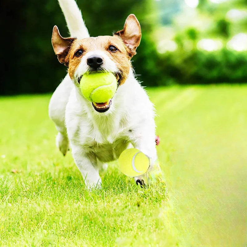 TennisPaw Chew Ball