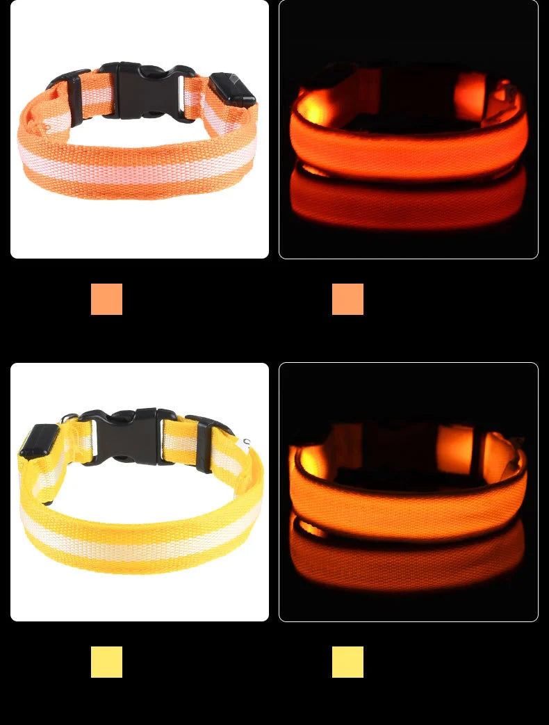 LED Safe Collar