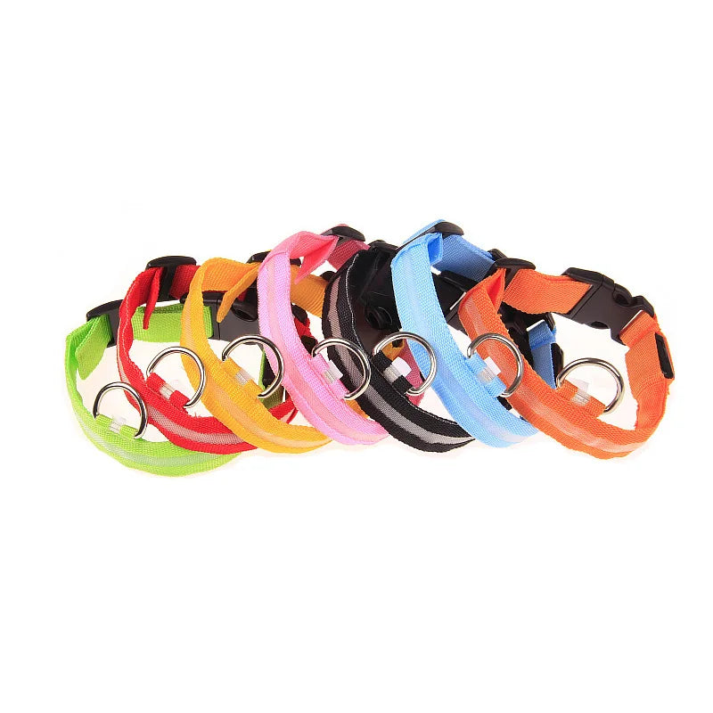 LED Safe Collar