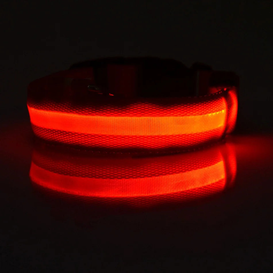 LED Safe Collar