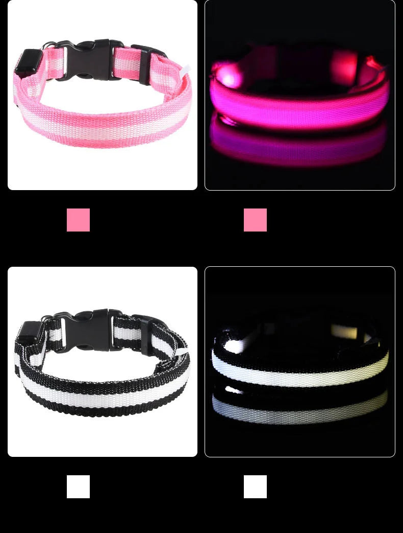 LED Safe Collar