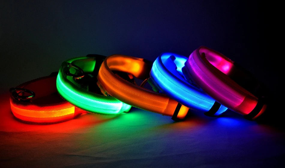 LED Safe Collar