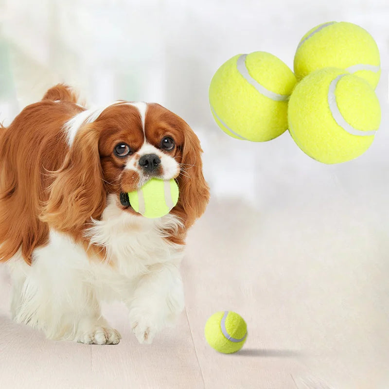 TennisPaw Chew Ball