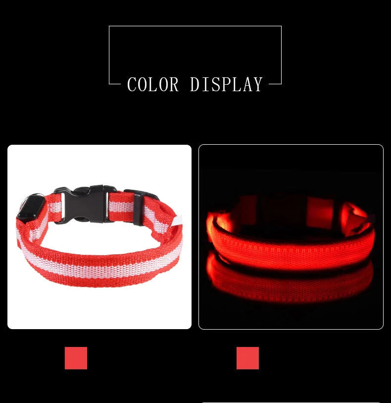 LED Safe Collar